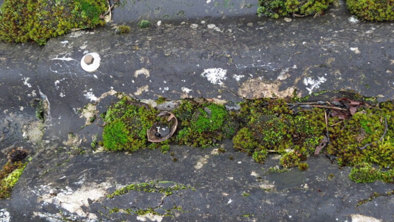 Forside Billede 2 - Tag